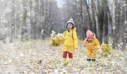 蹒跚学步的孩子们在秋天的公园里散步秋林初霜雪孩子们在公园背景图片