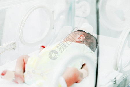 刚出生的婴儿在医院图片