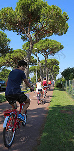 运动男孩在一辆红色自行车上骑脚踏车沿图片