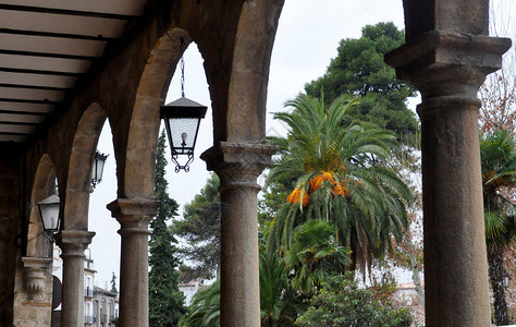 西班牙Baeza带椰棕榈的拱背景图片