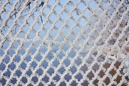 背景模糊的冰冻铁丝网纹理冬季场景图片