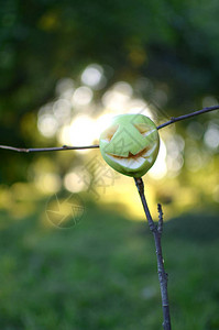 苹果雕刻在万圣节的吓人的脸蛋图片