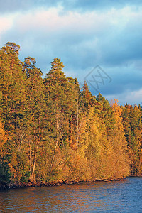 日落时湖边的秋天森林树木图片