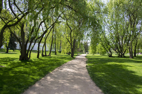 夏季公共园绿色路投和板凳阳图片