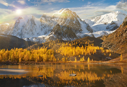 明亮的黄色秋天山湖俄罗斯西伯利亚阿尔泰山图片