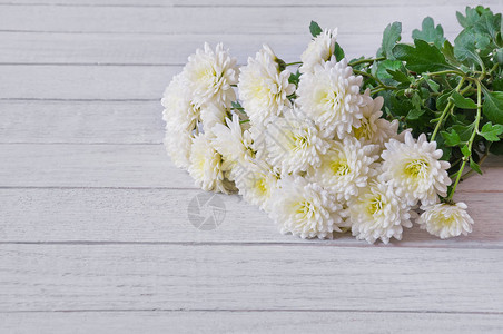 白色木桌上的一束白菊花图片