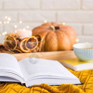 在秋天时在家舒适休息在毛毯中阅读图片