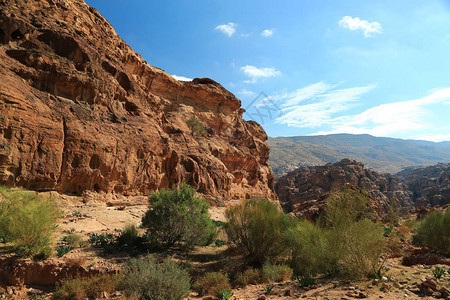 在约旦哈希姆王国历史和考古城市Petra图片