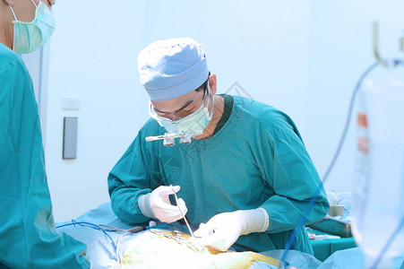 兽医手术在手术室图片