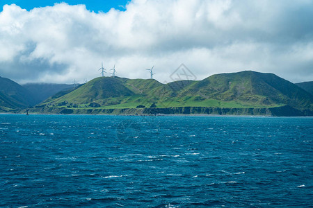 库克海峡和惠灵顿南部海岸线上山丘上图片