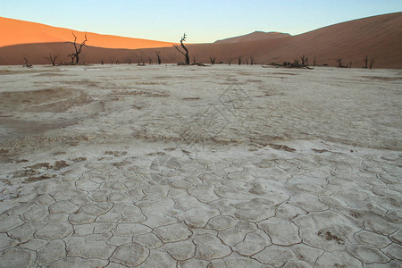 纳米比亚NamibNacluft公园纳米布沙漠南部的图片