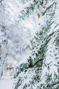 圣诞节的冬季风景图片
