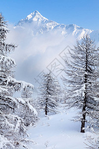 晴空降雪图片