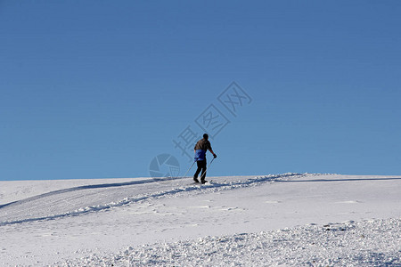 冬至雪景一位越野滑雪者在冬天反对蓝天越野滑雪是一项流背景