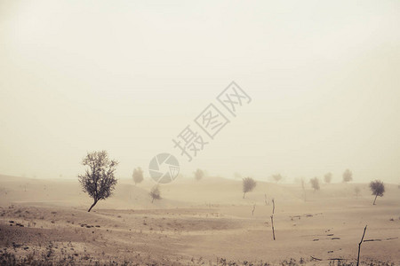 卡帕纳沙漠的沙尘暴前有风背景图片