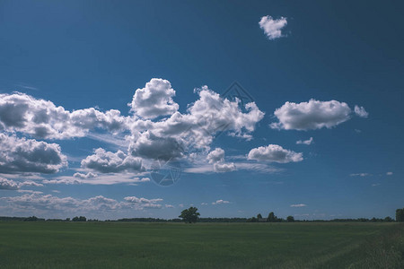 蓝天下风景如画的绿色田野云朵蓬松图片