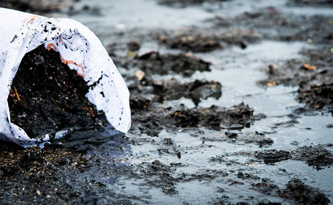 清洁工将海滩上的垃圾收集到白色袋子里一袋志愿者在海滩上清理垃圾海滩环境污染海滩上的油渍废图片