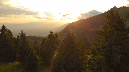 太阳的光芒照耀着图画般的斯洛文尼亚山脉的高树苗图片