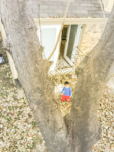 来自美国得克萨斯州达拉斯郊区有木栅栏的单家庭房屋后院的模糊图片