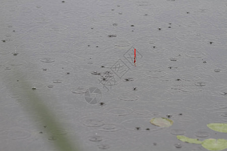 雨中漂浮在水面上的特写镜头图片