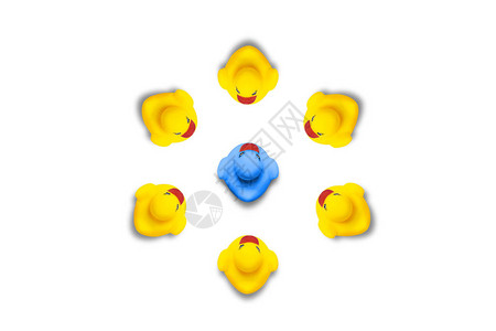 蓝色玩具小鸭被白色背景上的黄色小鸭包围图片