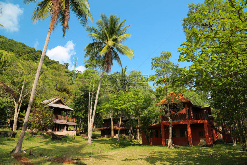 泰国象岛棕榈树间的小房子图片