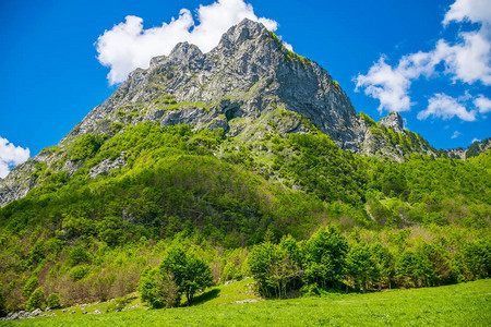 高峰岩石背景上风景秀丽的绿色草地图片