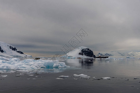 南极极光冰上豹海背景