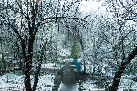 没想到五月下雪了背景图片