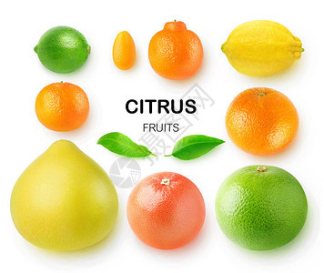 柚子葡萄柚橙子柠檬克莱门汀金橘石灰和普通话图片