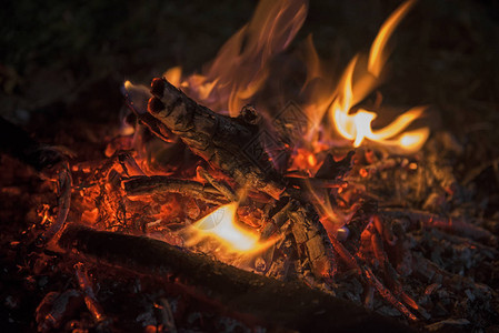 在小营火上用发亮的泡沫燃烧木图片