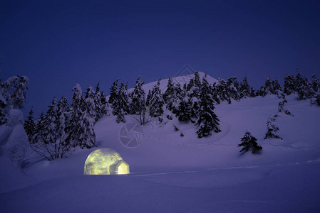 夜间冬季风景图片
