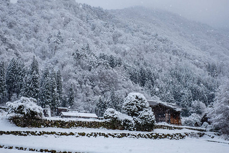 冬季白川果村地区自然质图片