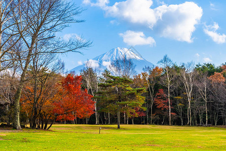 日本秋季天湖周围有青木叶树的美图片