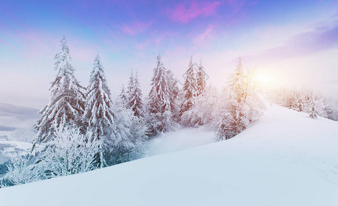 蓝色冰面的裂缝冬天山的冻湖下雪了松树的山丘喀尔巴背景图片