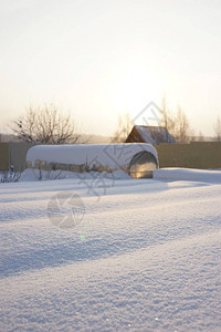 冬天的花园降雪和阳光图片