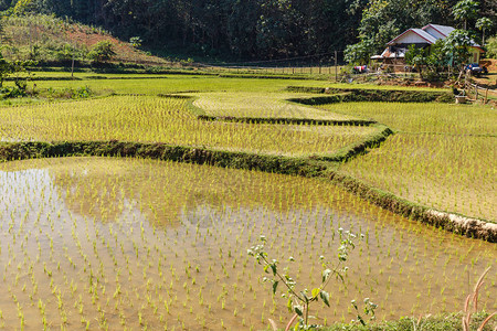老挝Sainyabuli省老挝塞亚布利省村图片