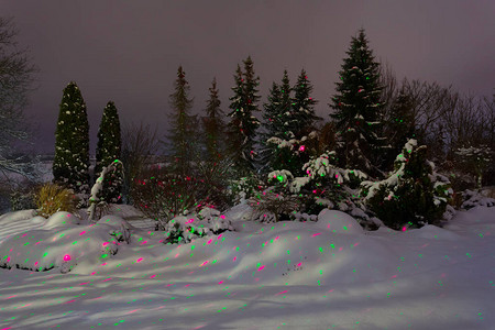 花园中美丽的夜间冬有雪覆盖的树木和长着图片