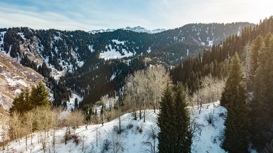 山上的旅行者踩着雪鞋行走三名游客沿着树林间的山脊前行冬季山图片