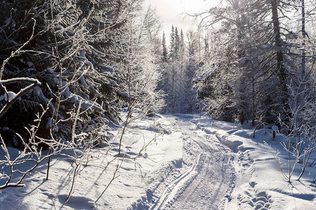 通往冬季树林的雪地摩托小径乌拉尔南部山区冬季白图片