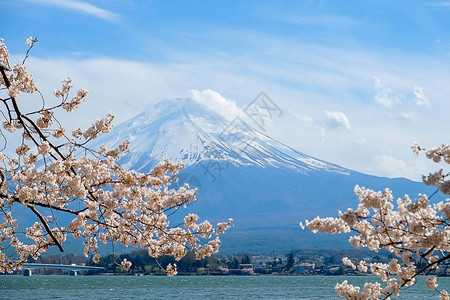 日本山梨县河口湖春季富士山图片