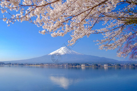 日本山梨县河口湖春季富士山图片