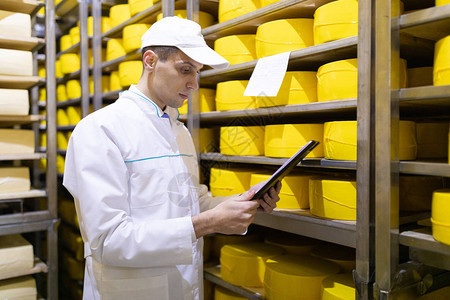 穿白大褂的技术人员在生产黄油和奶酪的商店的奶酪仓库里图片
