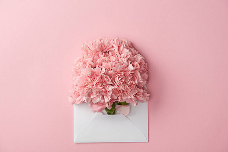美丽的粉红康乃馨鲜花和白信封在粉图片
