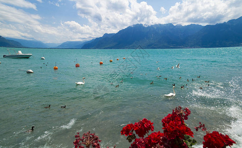 瑞士VeveyRiviera日内瓦湖岸边的图片