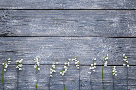 灰色木桌上的铃兰花图片