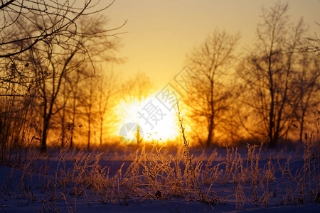 冬日清晨的日出图片