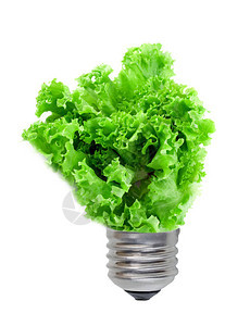 生态绿色能源概念灯泡图片