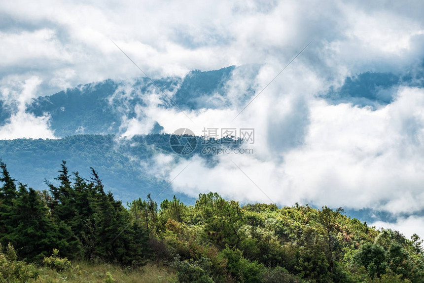 峰顶青山白雾云景观区图片