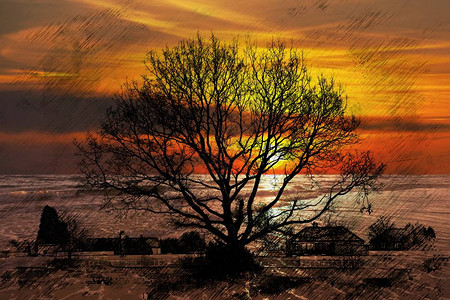 日落时树木背景里图片
